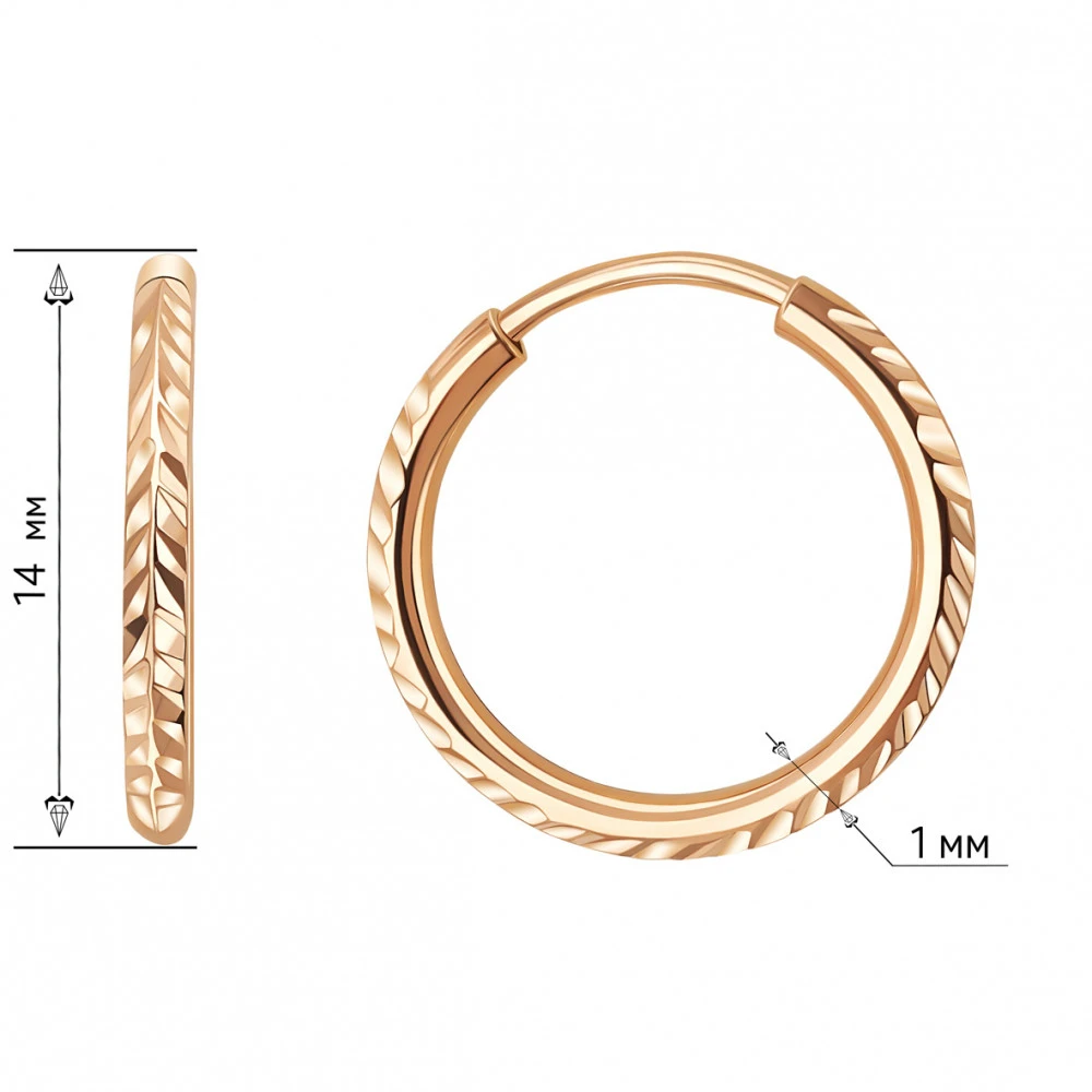 Auksiniai auskarai Brasco 65063