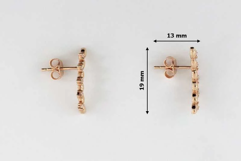 Auksiniai auskarai su cirkoniais Brasco 55288