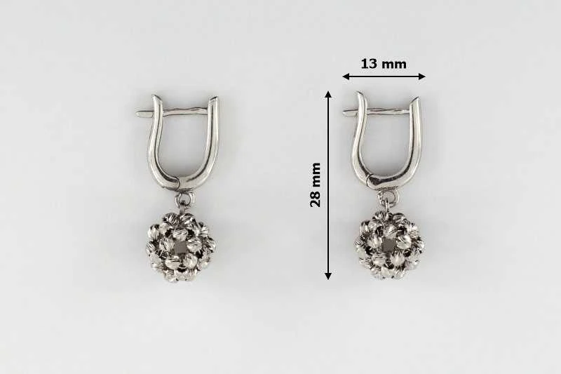 Sidabriniai auskarai Brasco 54455
