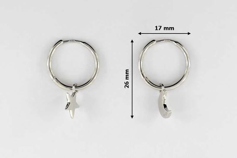 Sidabriniai auskarai Brasco 55904