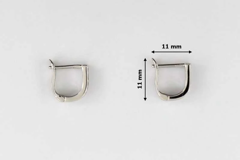 Sidabriniai auskarai su cirkoniais Brasco 54588
