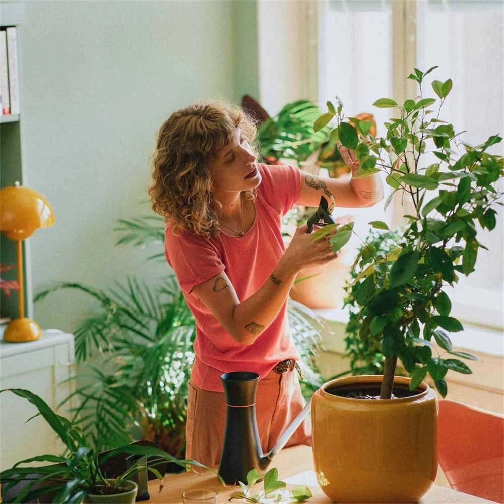 FISKARS augalų priežiūros rinkinys - sekatorius + dėklas