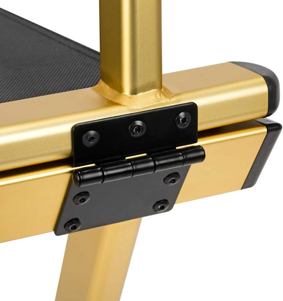 Activeshop Makiažo kėdė MAKE-UP CHAIR ALU GOLD