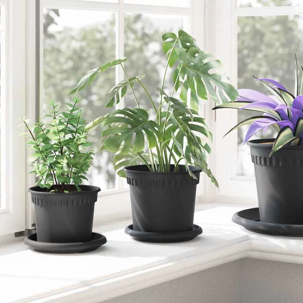 Apvalus gėlių padėklas 6 vnt. Juoda Ø 14 x 2 cm Plastmasė