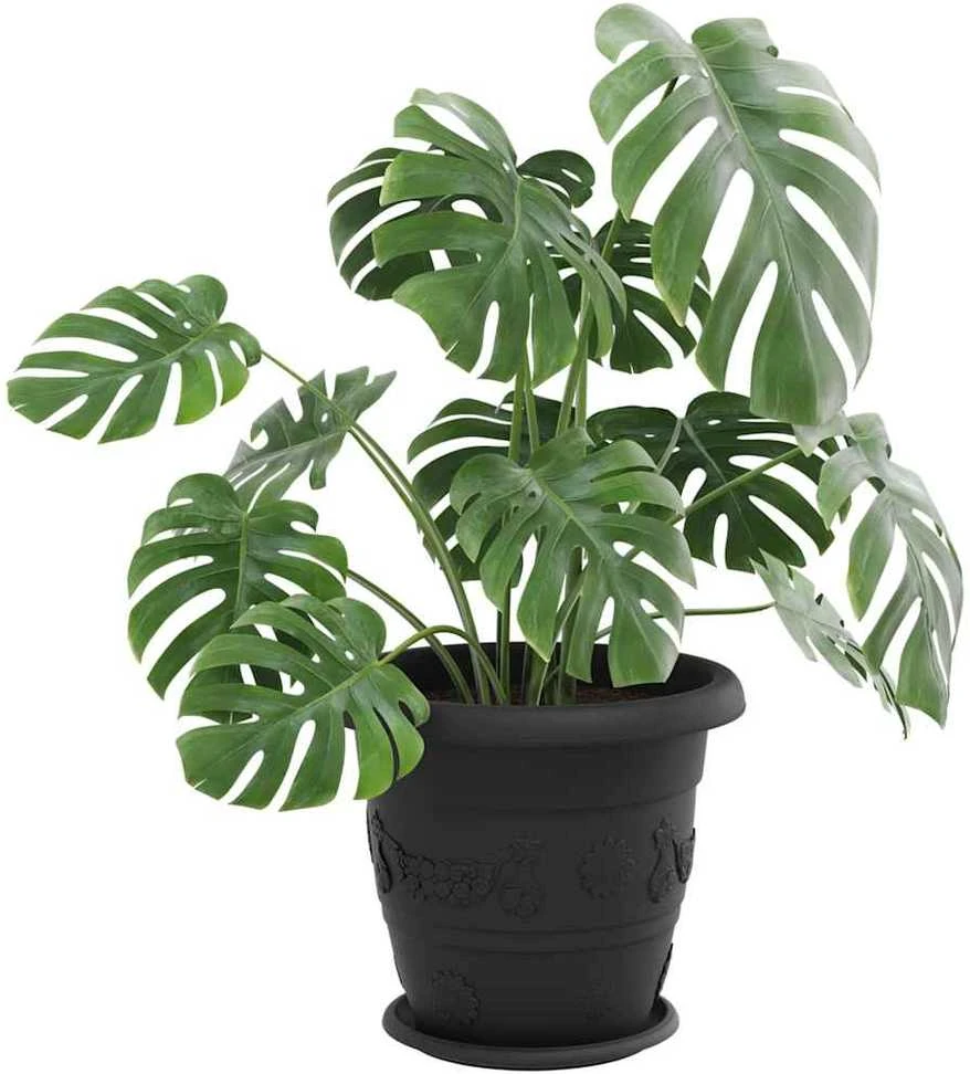 Apvalus gėlių padėklas 6 vnt. Juoda Ø 27 x 2,5 cm Plastmasė