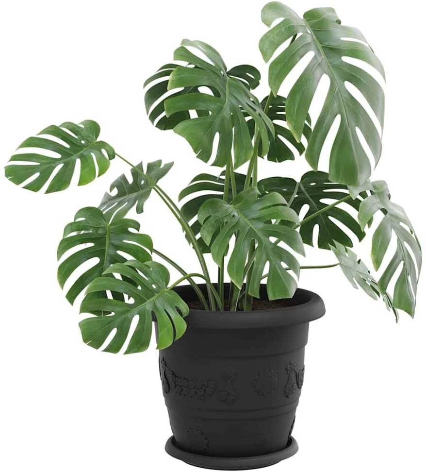 Apvalus gėlių padėklas 6 vnt. Juoda Ø 21,5 x 2,5 cm Plastmasė