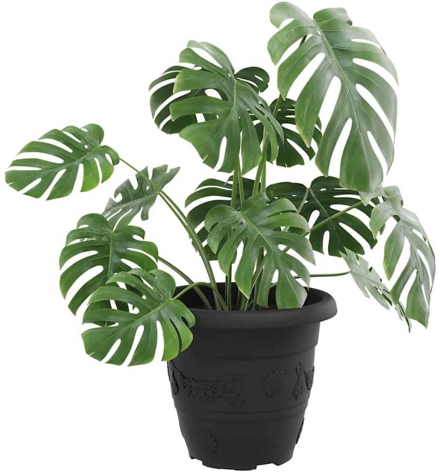Apvalus gėlių vazonas 24 vnt. Juoda Ø 26 x 21.5 cm Plastmasė