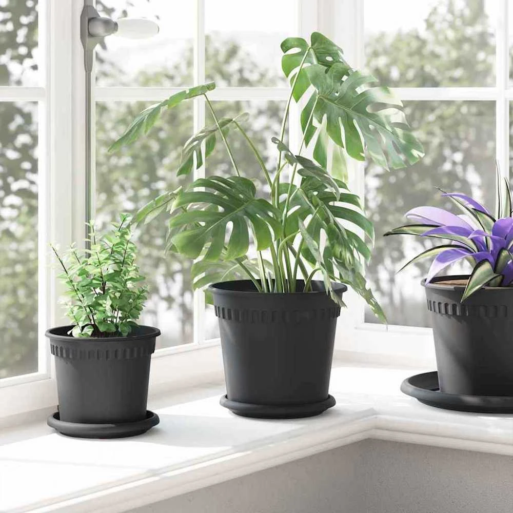 Apvalus gėlių vazonas 6 vnt. Juoda Ø 19 x 16,5 cm Plastmasė