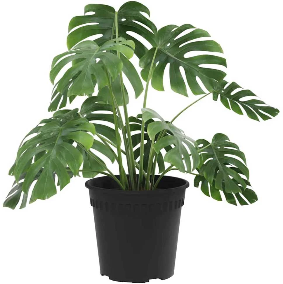 Apvalus gėlių vazonas 6 vnt. Juoda Ø 19 x 16,5 cm Plastmasė