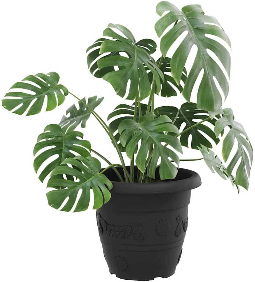 Apvalus gėlių vazonas 6 vnt. Juoda Ø 34 x 28 cm Plastmasė