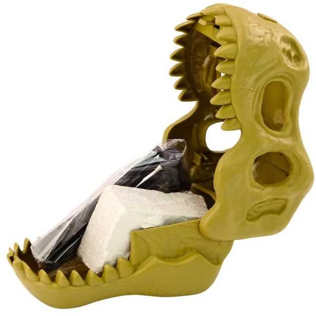 Lean Toys Archeologinis Dinozaurų Fosilijų Rinkinio Rinkinys