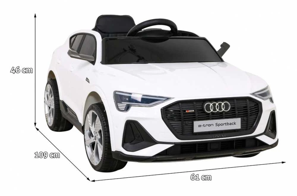 Ramiz Elektromobilis vaikams Audi E- Tron QLS-6688, 4x4, baltas