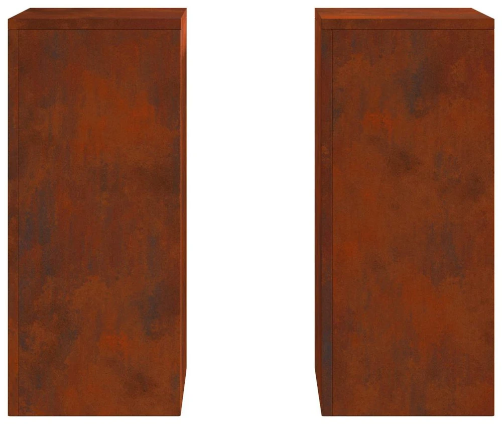 Augalų stovas 2 pcs Rūdijanti 24 x 24 x 55 cm