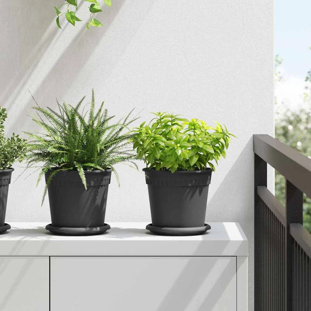 Lova Augalų vazonai 24 vnt. Juoda Plastmasė