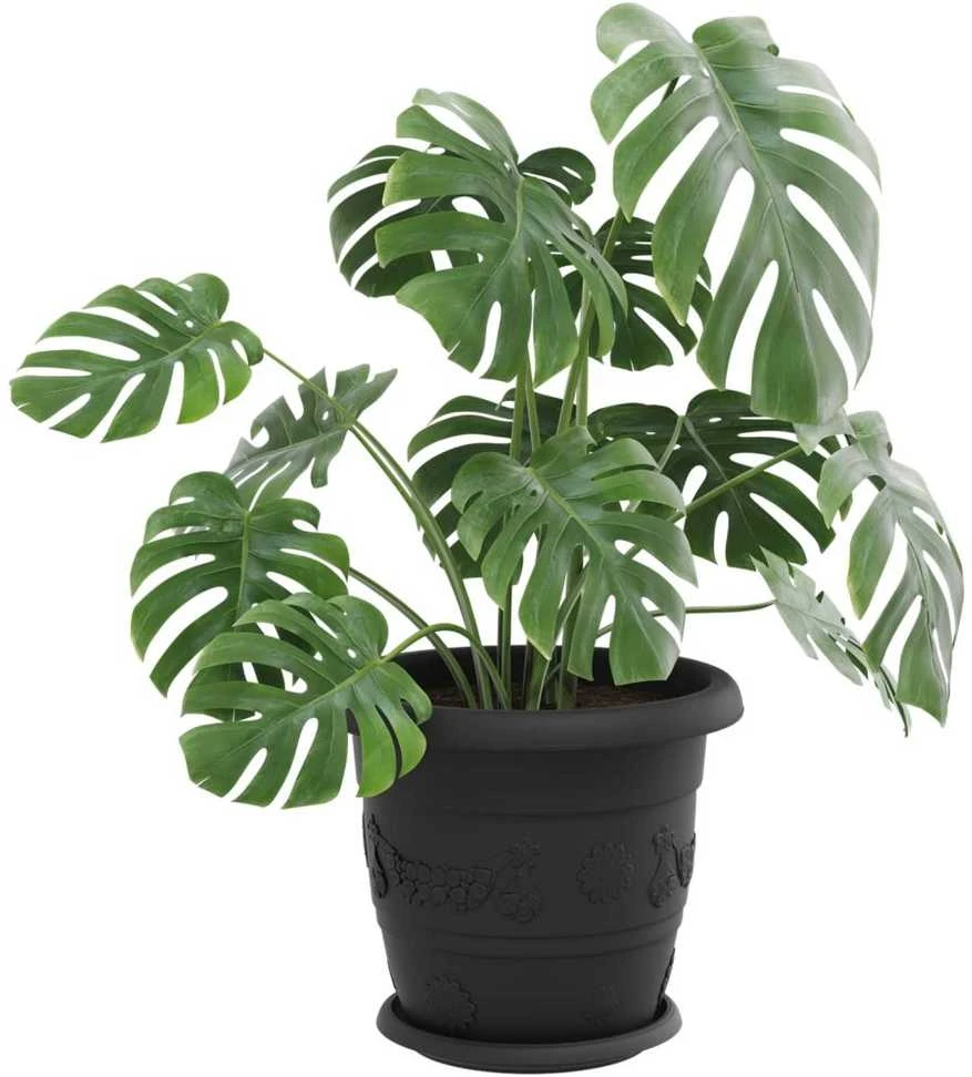 Augalų vazonai 24 pcs Juoda Ø 26 x 21.5 cm Plastmasė