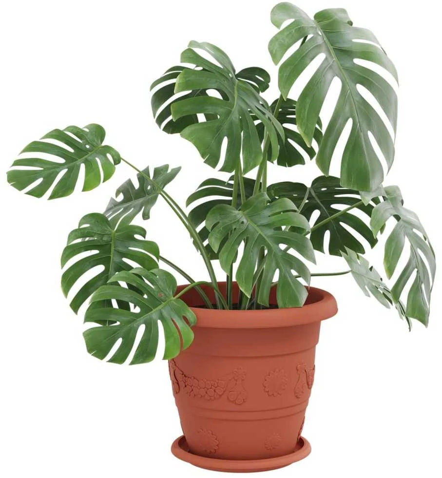 Augalų vazonai 24 pcs Raudona plyta Ø 26 x 21.5 cm Plastmasė