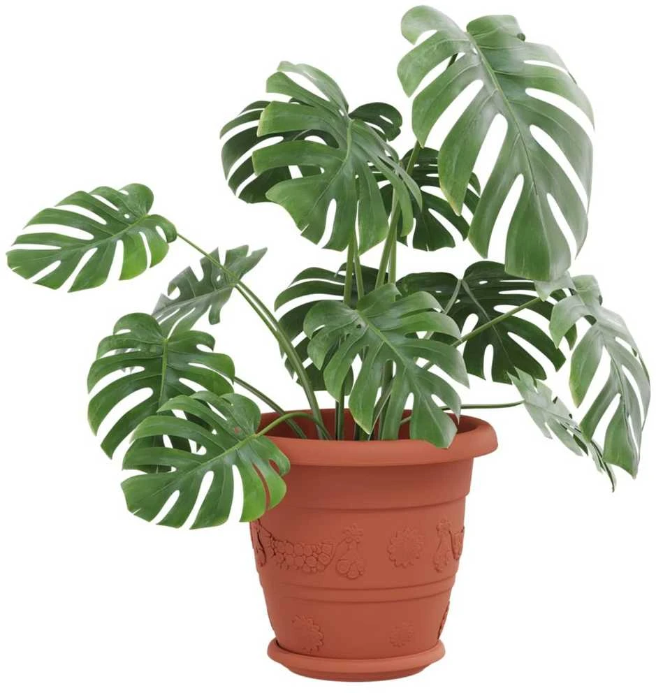 Augalų vazonai 6 pcs Raudona plyta Ø 26 x 21.5 cm Plastmasė