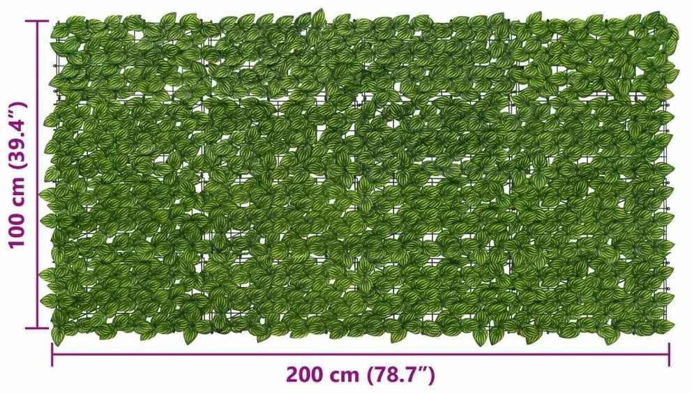Balkono uždanga su lapais Žalia ir geltona 200 x 100 cm