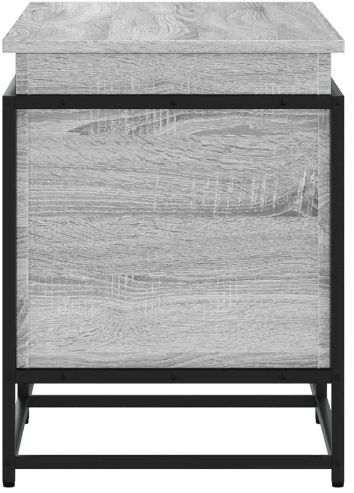 Daiktadėžė su dangčiu, pilka, 100x40x51,5cm, apdirbta mediena