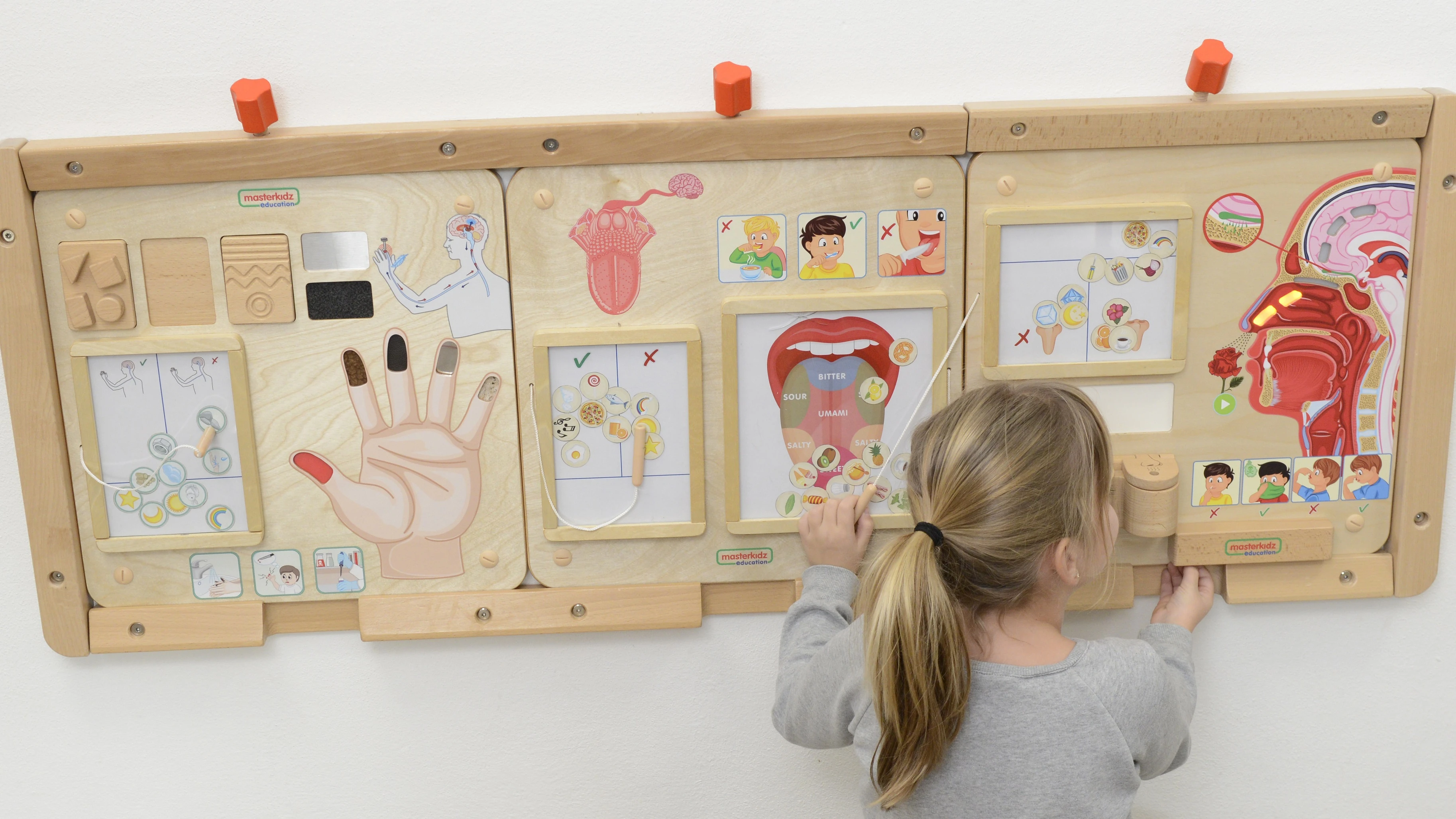 Edukacinė lenta Lytėjimo pojūtis Montessori MASTERKIDZ aprašymas - Prekės nuotrauka