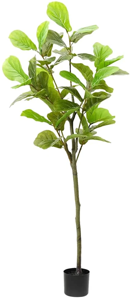 Dirbtinis fikusas, žalios spalvos, 165cm, 48 lapai