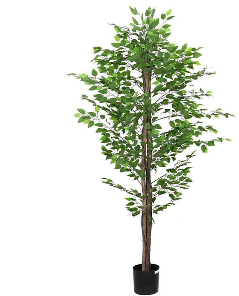 Dirbtinis fikuso augalas, žalios spalvos, 200cm, 1260 lapai