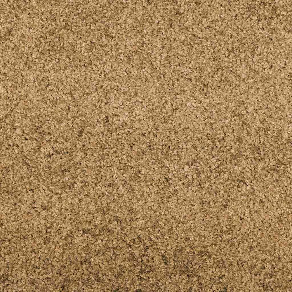 Durų kilimėlis Kremas ir juoda 120 x 400 cm Poliamidas ir PVC
