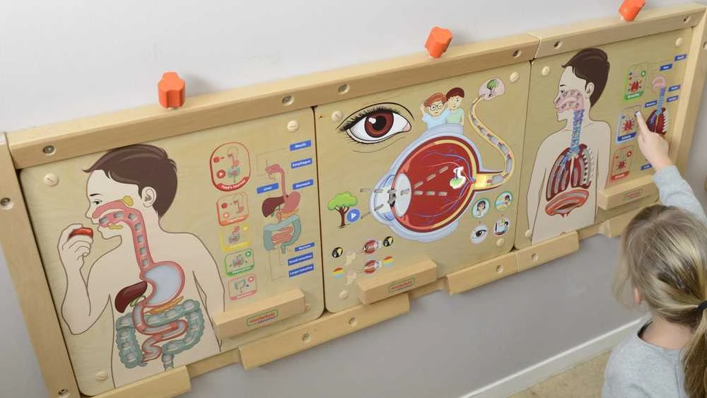Edukacinė lenta Kvėpavimo sistema Montessori MASTERKIDZ