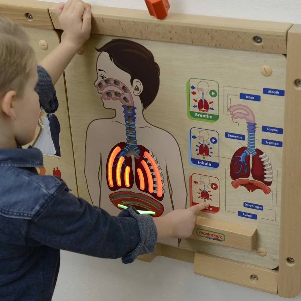 Edukacinė lenta Kvėpavimo sistema Montessori MASTERKIDZ