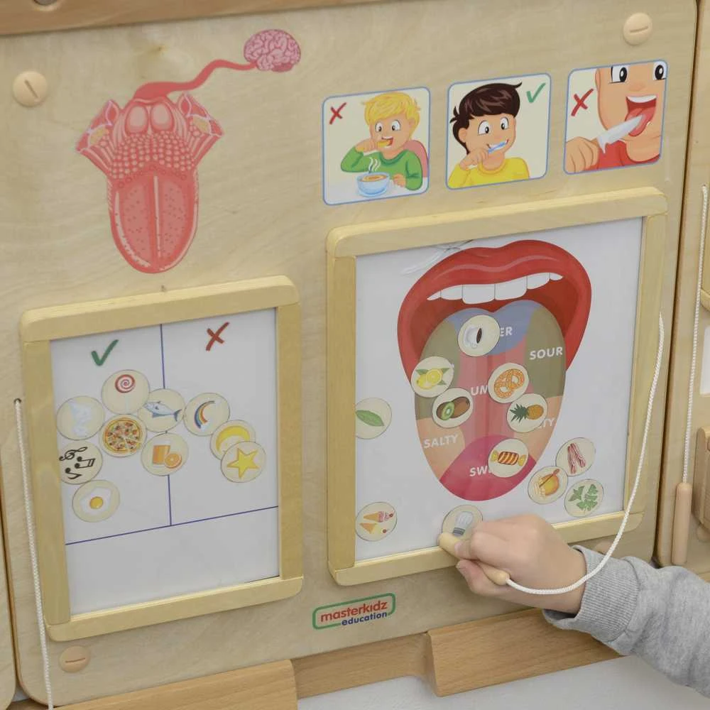 Edukacinė lenta Skonio pojūtis Montessori MASTERKIDZ