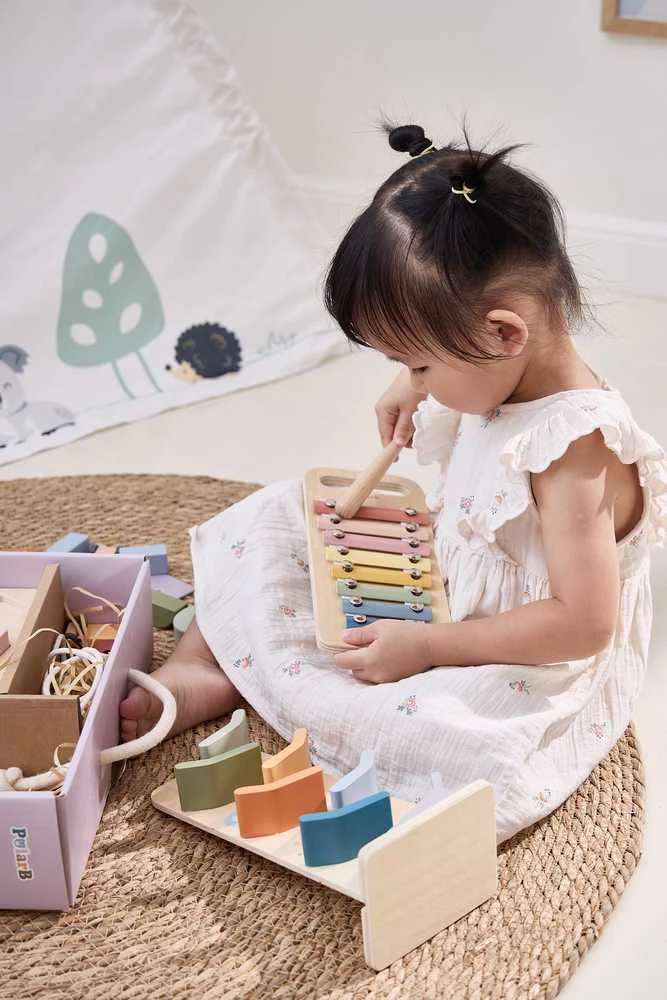 Edukacinių žaislų rinkinys vaikams VIGA Colour Crafters