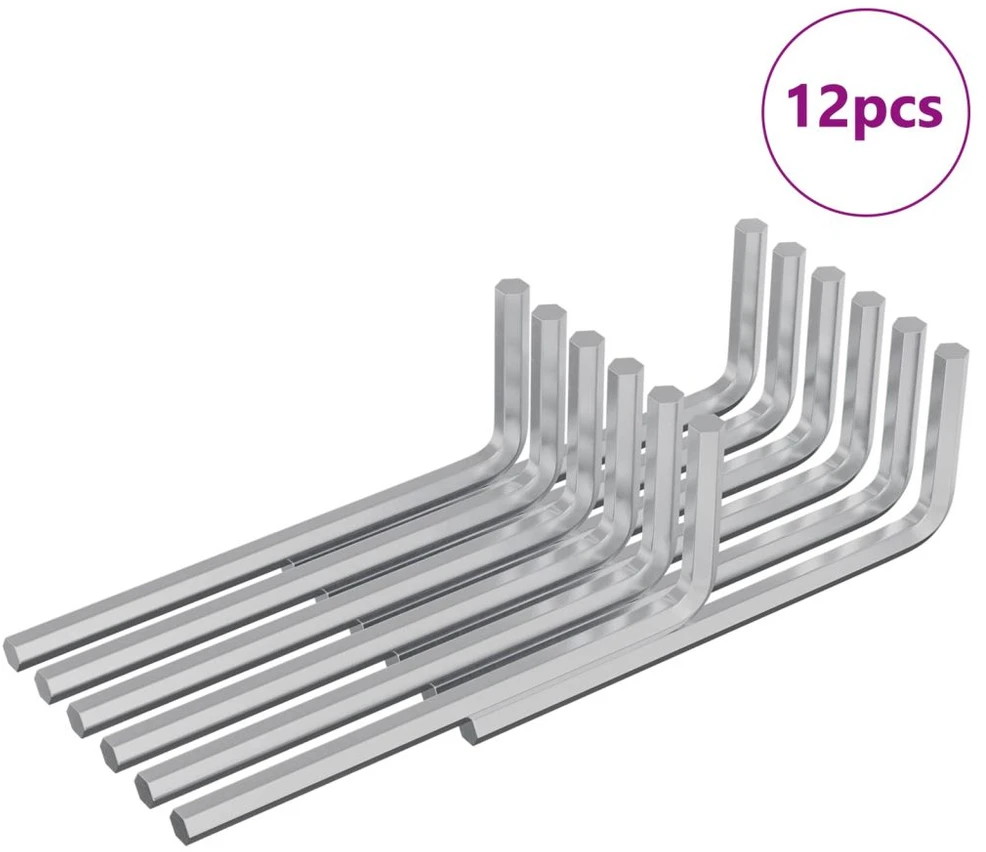 Hex rakto 12 vnt. Sidabrinė 20 x 52 mm Plienas
