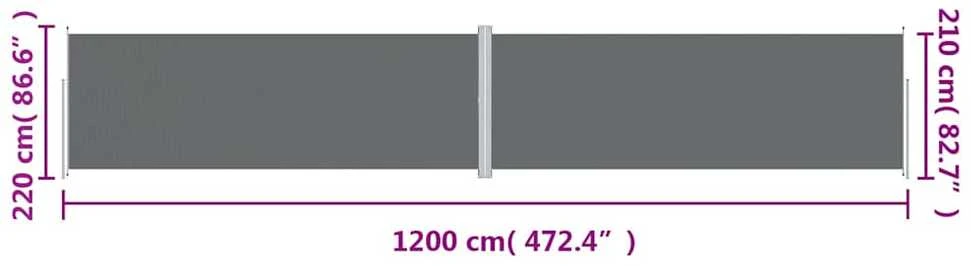 Ištraukiama šoninė pertvara, antracito spalvos, 220x1200cm