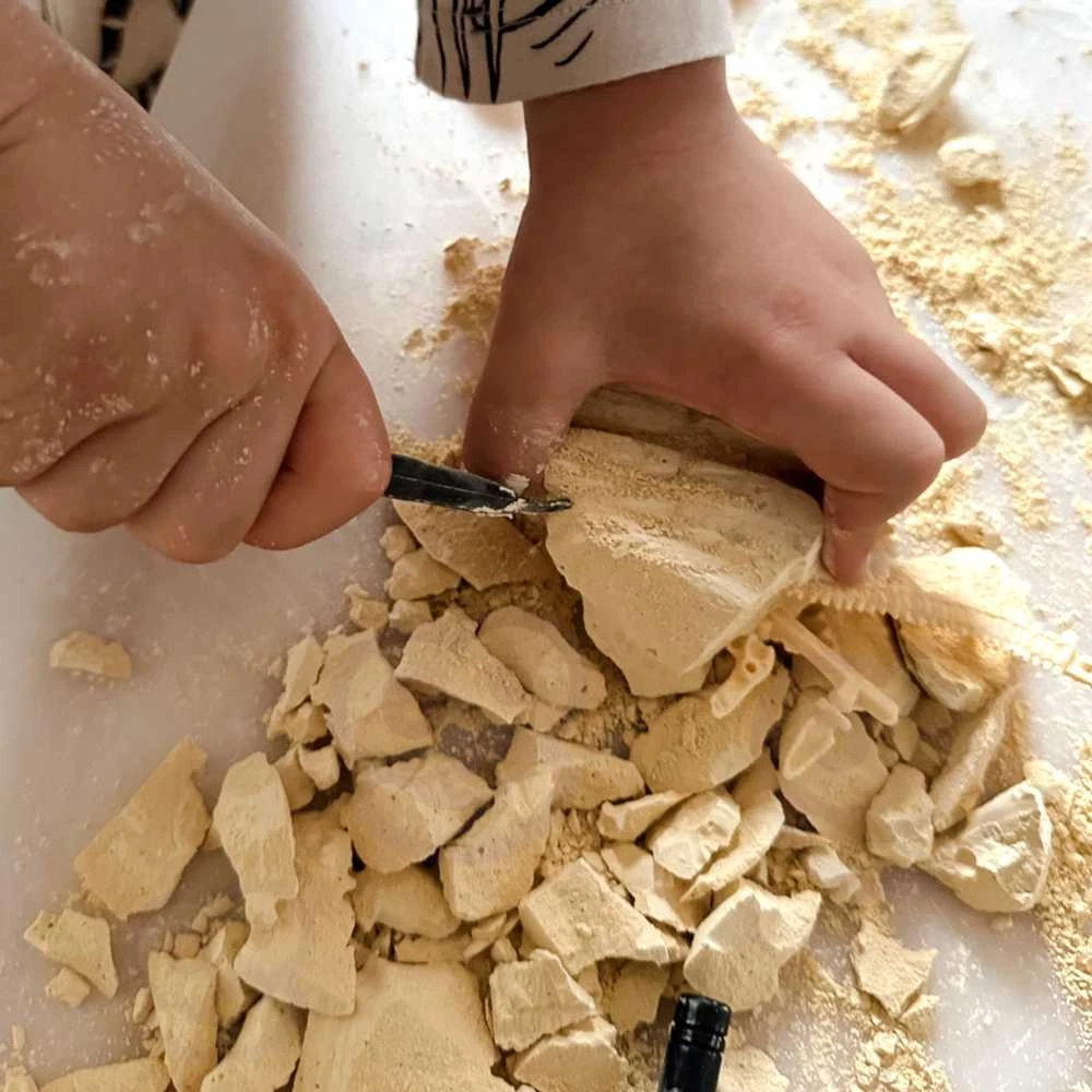 Dinozauro Skeleto Archeologiniai Kasinėjimai WOOPIE