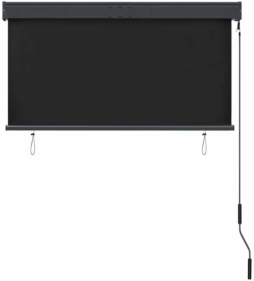 Lauko roletas, antracito spalvos, 120x250cm