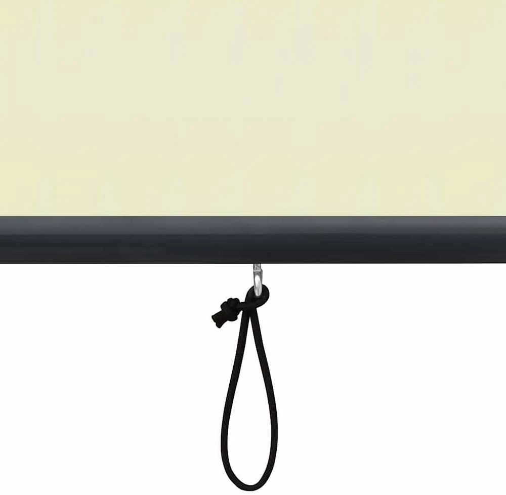 Lauko roletas, kreminės spalvos, 80x250cm