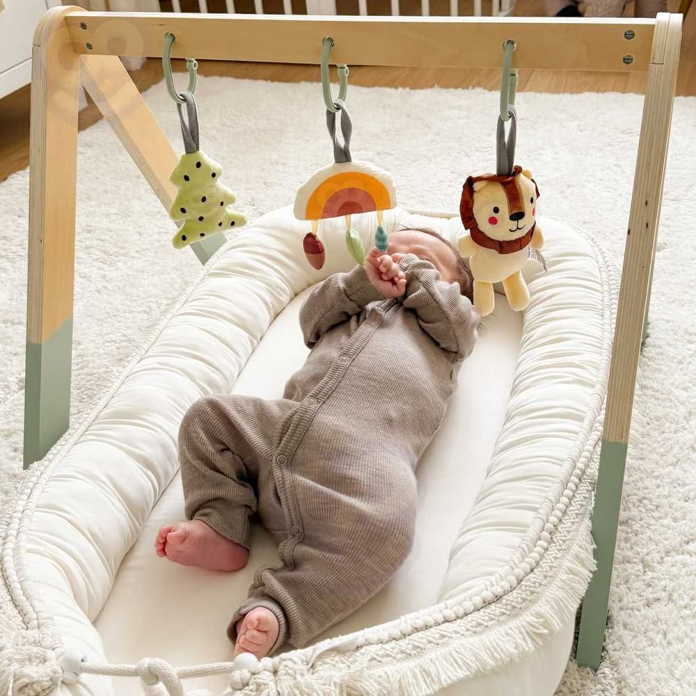 Tooky Toys Lavinamasis stovas kūdikiams Tooky Toy Baby Gym