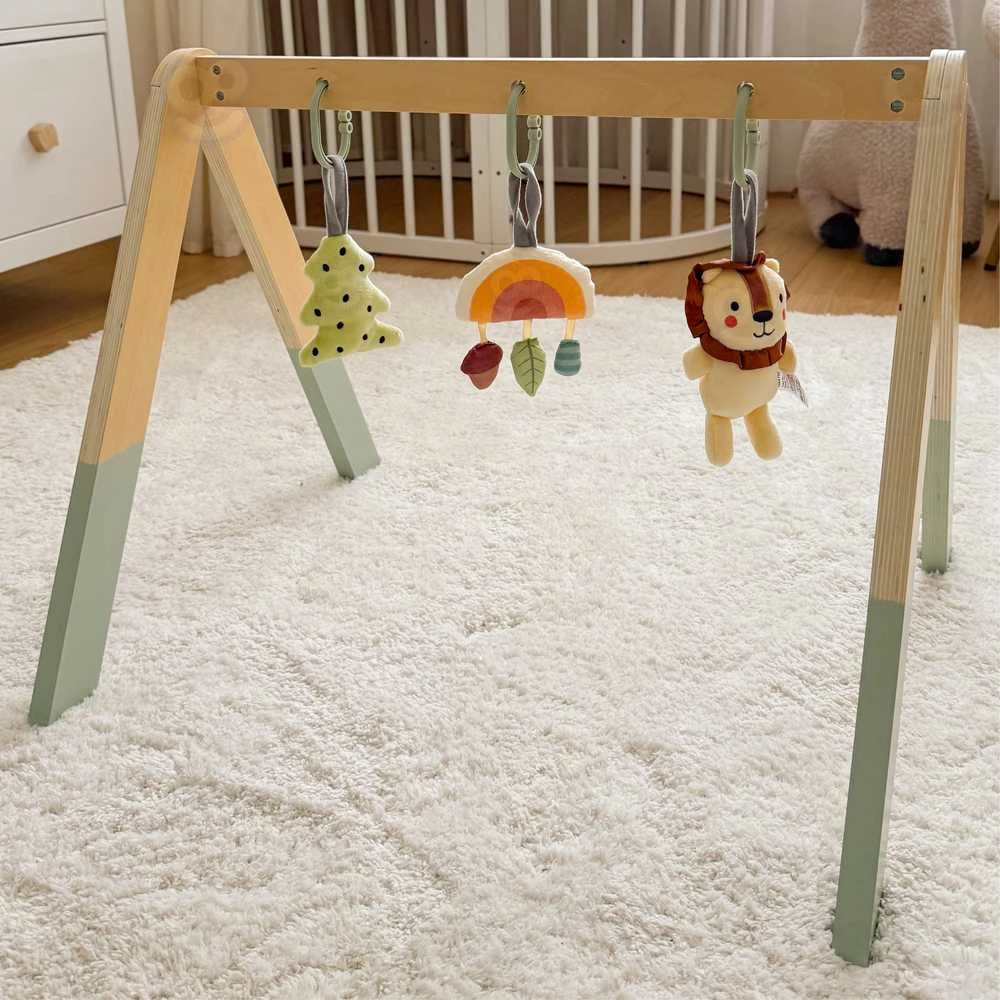 Tooky Toys Lavinamasis stovas kūdikiams Tooky Toy Baby Gym