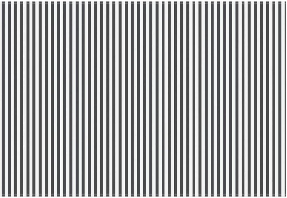 Markizės pakaitinis audinys Antracito ir baltos 300 x 250 cm