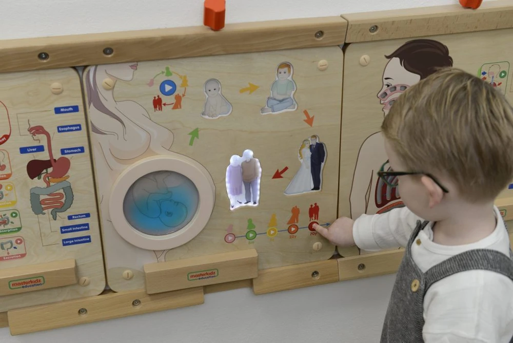 Masterkidz edukacinė lenta Žmogaus gyvenimo ciklas Montessori