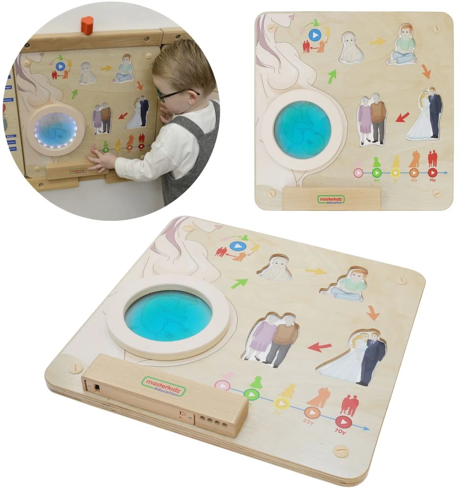 Masterkidz edukacinė lenta Žmogaus gyvenimo ciklas Montessori