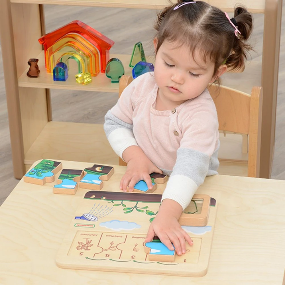 Masterkidz medinė edukacinė lenta pupelės gyvavimo ciklas