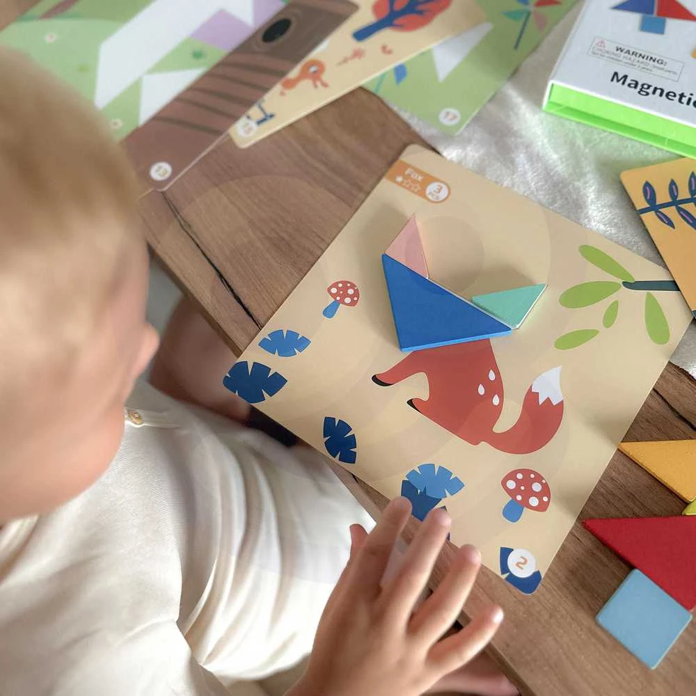 Tooky Toys Medinė dėlionė Tangram TOOKY TOY