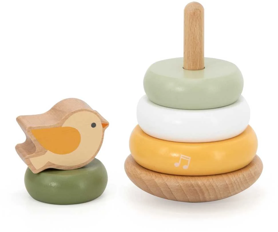 Dėlionė Viga Toys Medinė edukacinė piramidė VIGA PolarB