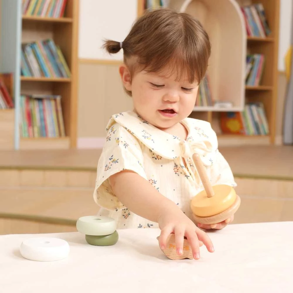Dėlionė Viga Toys Medinė edukacinė piramidė VIGA PolarB