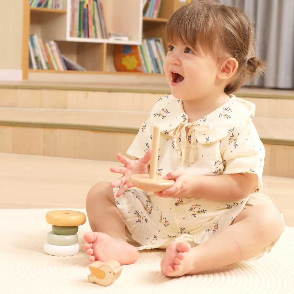 Dėlionė Viga Toys Medinė edukacinė piramidė VIGA PolarB
