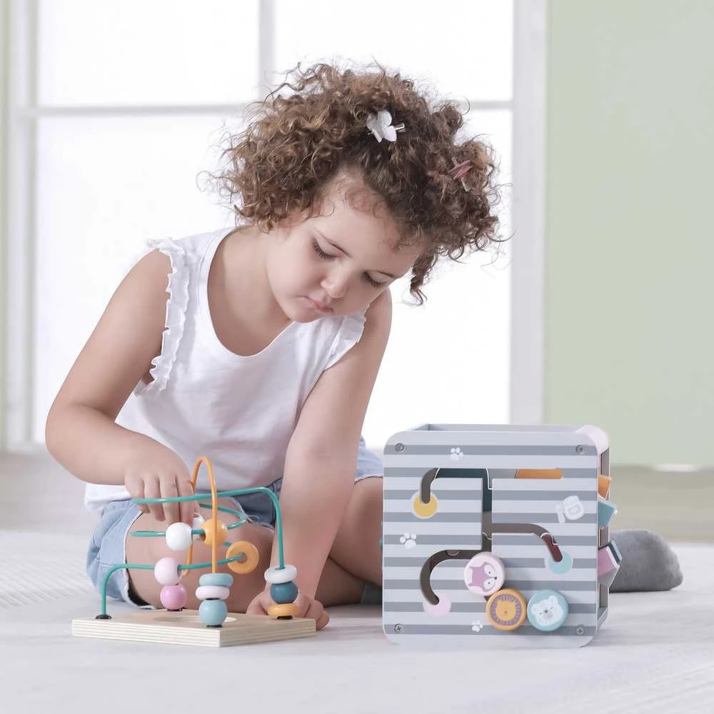 Viga Toys Lavinantis Medinis Žaislas VIGA Polar 5w1