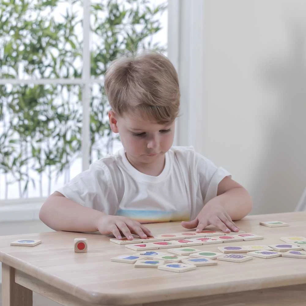 VIGA Medinė edukacinė dėlionė Spalvų ir formų atpažinimui 38 vnt. Montessori