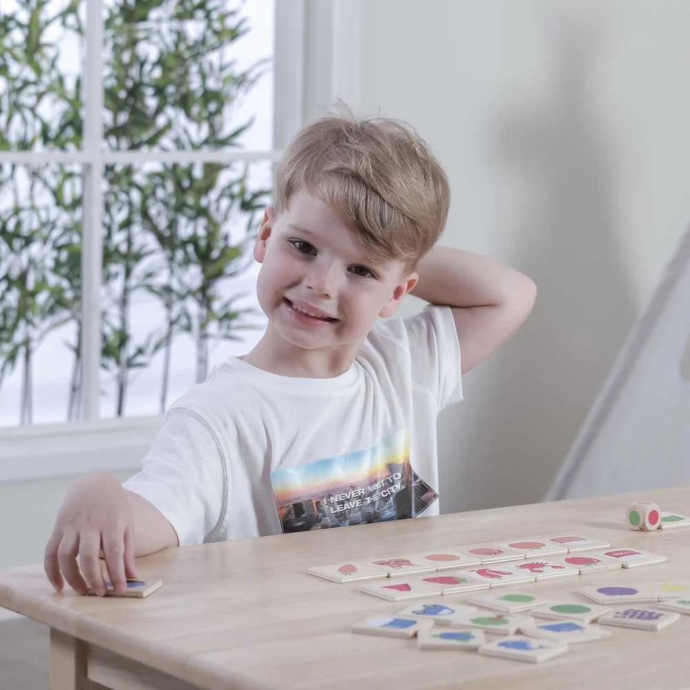 VIGA Medinė edukacinė dėlionė Spalvų ir formų atpažinimui 38 vnt. Montessori
