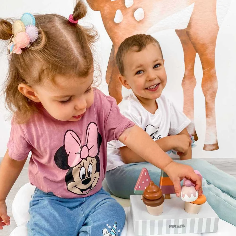 Viga Toys Medinių ledų rinkinys VIGA PolarB